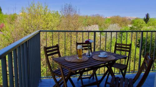 Apartament "park Lotnik�w"
