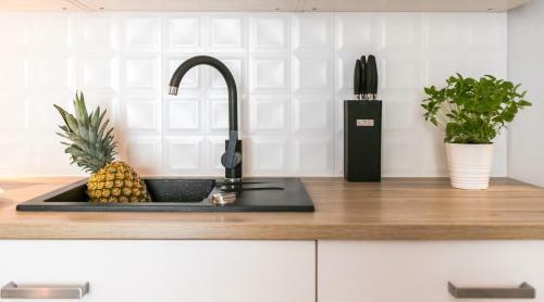 Vistula Boutique Exclusive Apartments