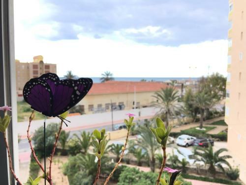 Apartamento Vistas La Mata Playa