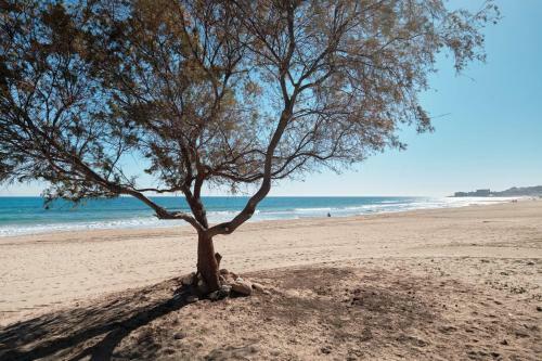 Apartamento Sunny Sea