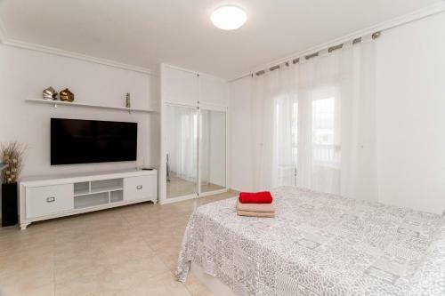 Apartamento La Mata B�lgica