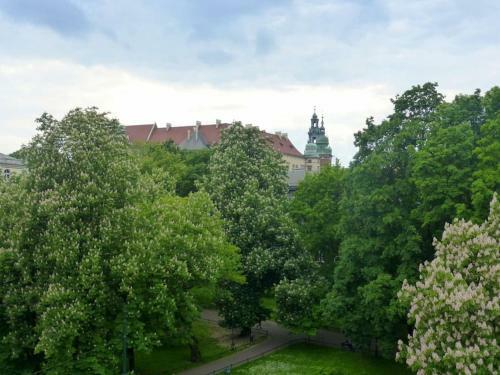 Apartament Gertrudy Belle