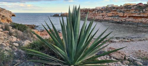 Apartamento Sofia La Mata