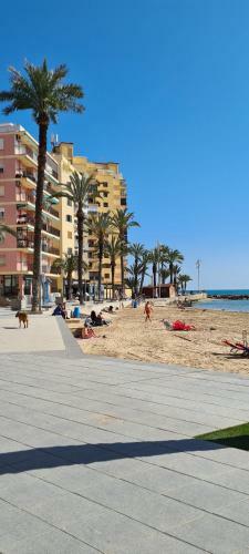 Apartamento Sofia La Mata
