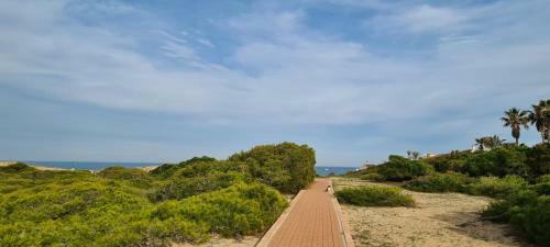 Apartamento Sofia La Mata