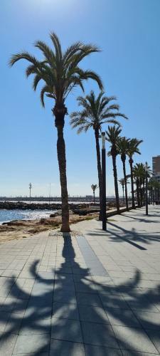 Apartamento Sofia La Mata