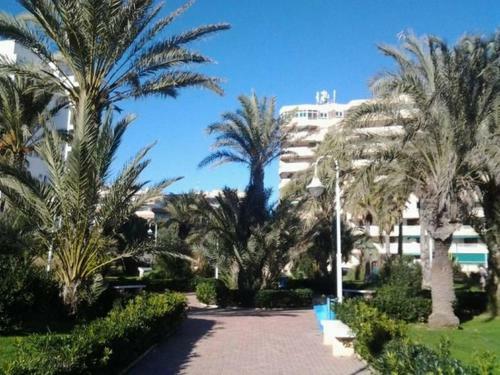 Apartamento Margo La Mata 14