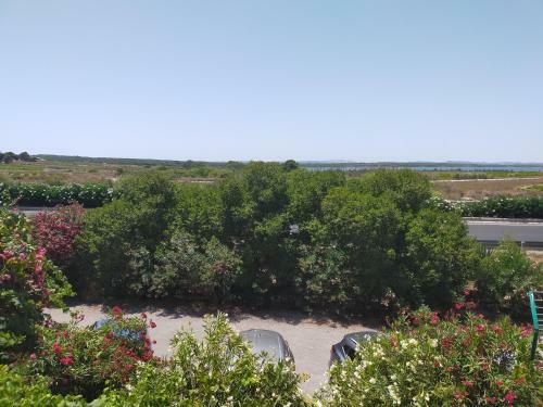 Apartamento Margo La Mata 14