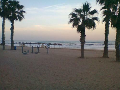 Apartamento Margo La Mata 14