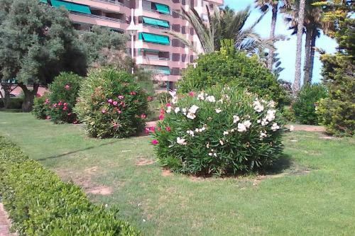 Apartamento Margo La Mata 14