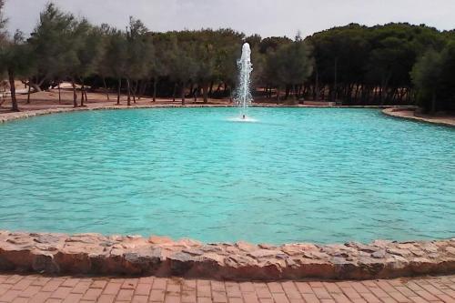 Apartamento Margo La Mata 14