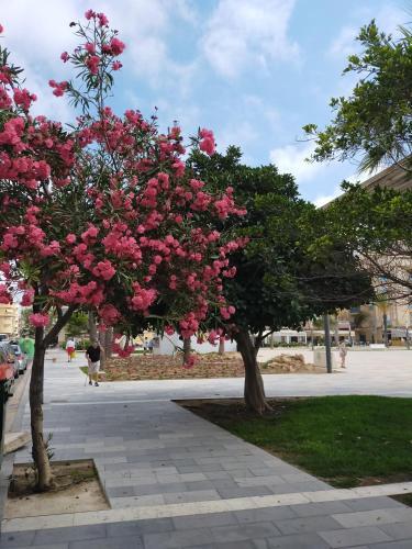 Apartamento Margo La Mata 14