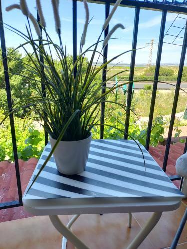 Apartamento Margo La Mata 14