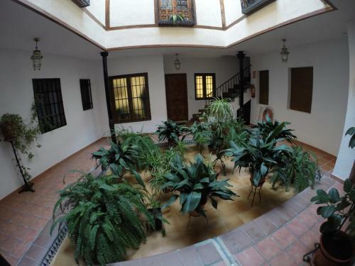 Apartamento Toledo San Justo