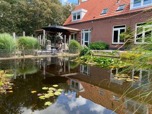 Bed & Breakfast Het Pauwtje