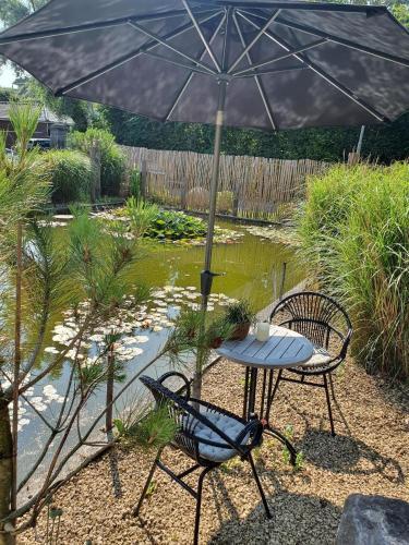 Bed & Breakfast Het Pauwtje