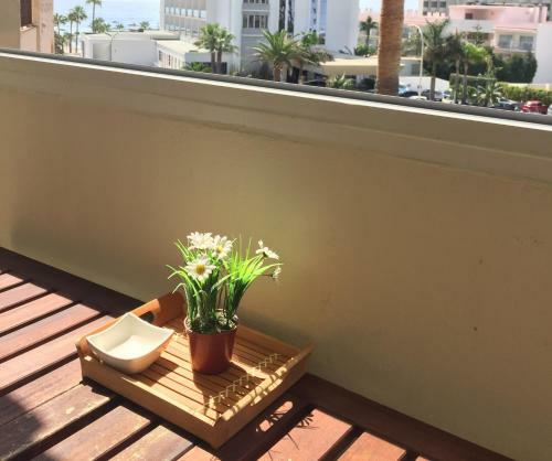 Apartment Erisa