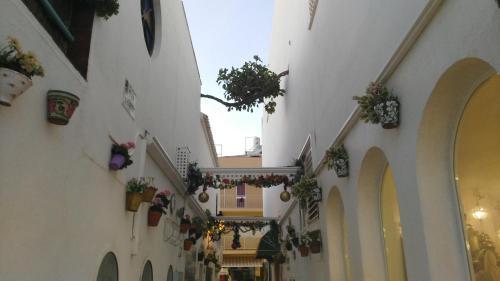 Apartamento Aloha Para�so