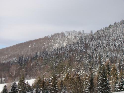 Domek Nad Stawem