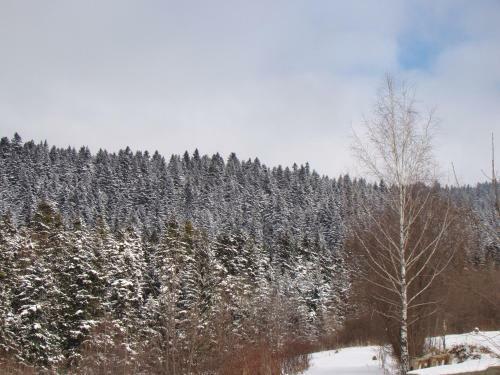 Domek Nad Stawem