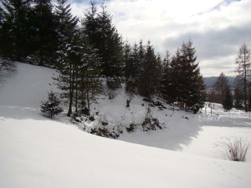 Domek Nad Stawem