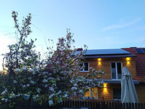 Apartamento Le?nicz�wka