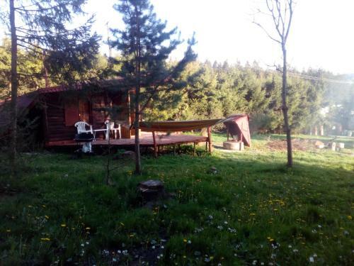 Hostal Sparta?ski Domek G�rski Laliki Z Saun?