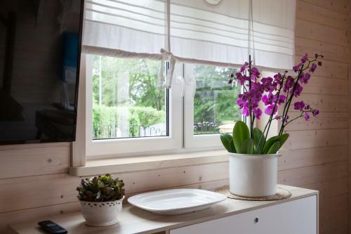 Apartamento Bia?y Domek (white House)