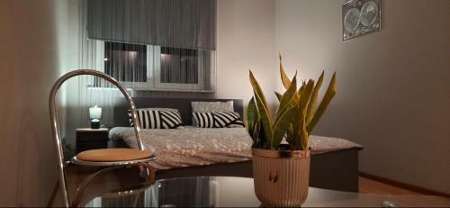 Apartament Komfortowy Levino
