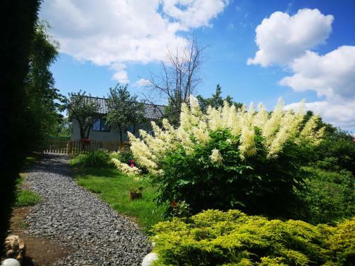 Apartamento Agroturystyka U Kozdryka