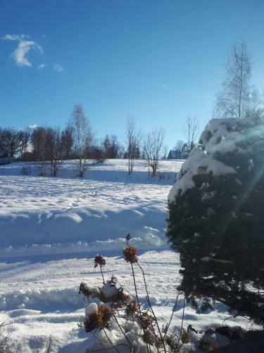 Apartamento Lawendowy Zak?tek - Agroturystyka