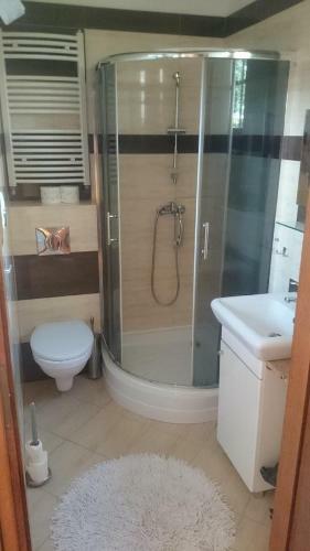 Apartamenty Pod Klonami Kisewo