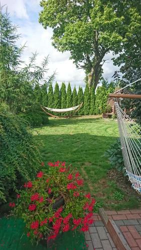 Apartamenty Pod Klonami Kisewo