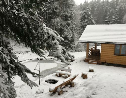 Lodge Bieszczady Domek Nad Stawem