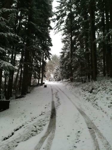 Lodge Dom Na G�rce W Lesie Bieszczady