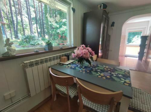 Lodge Dom Na G�rce W Lesie Bieszczady