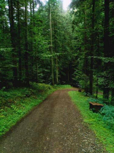 Lodge Dom Na G�rce W Lesie Bieszczady