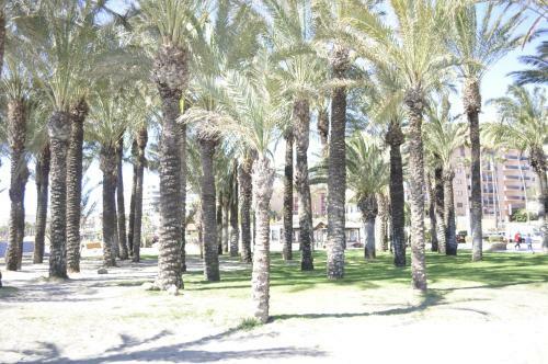 Apartamento Triana