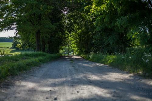Domek Na Wzg�rzu Blanki