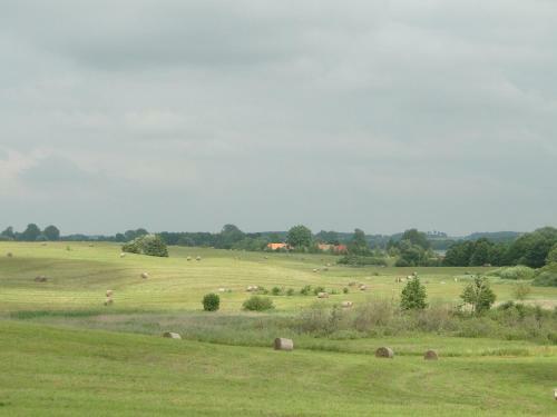 Agroturismo Pensjonat Lisewo