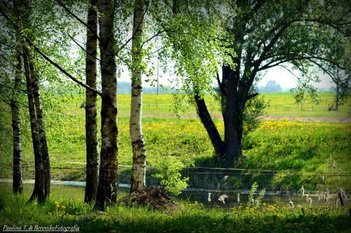 Agroturismo Pensjonat Lisewo