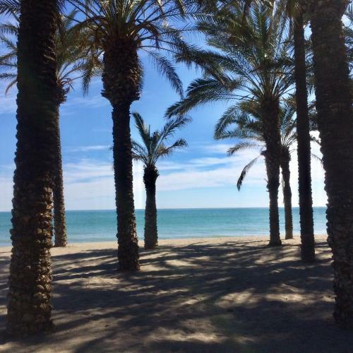 Apartamento La Malague�a