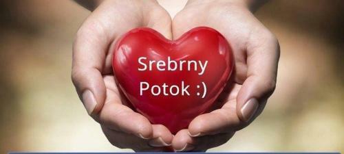 Bed & Breakfast Schronisko Srebrny Potok