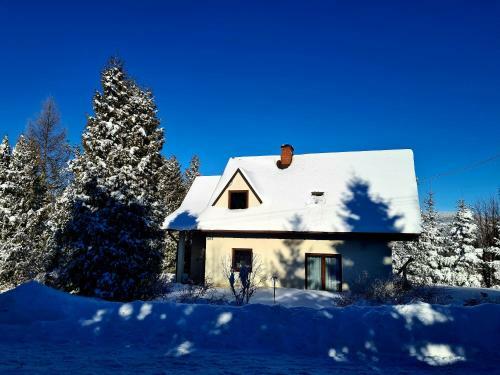 Lodge Forest House