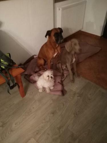 Apartamento Baltic Bird 2