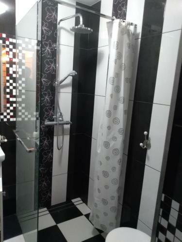 Bac�wki Nad Jeziorem Goszcza