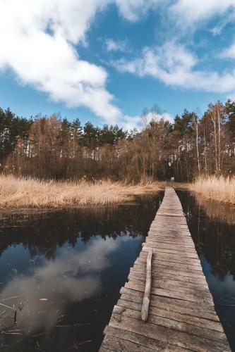 Jarz?binowa - Dom Do Wynaj?cia Na Podlasiu