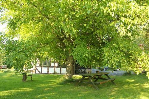 Hostal Pod Lipami