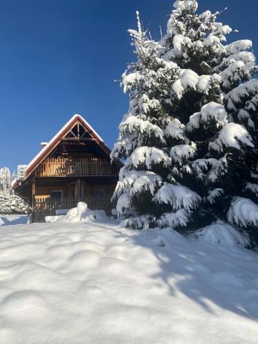 Lodge Domki U Gretka