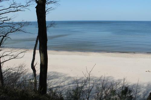 Apartament "zacisze"